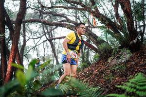 BIB: 
                            <button type="button" onclick="openModal(26296448)" class="btn btn-primary btn-sm float-right btn-popup" data-toggle="modal" data-target=".modal-high-quality">
                        <i class="fas fa-shopping-cart"></i> Add to Cart
                    </button>
                                            <button type="button" onclick="isThisMe(26296448, true)" class="btn btn-success btn-sm float-right btn-popup btn-isme hidden" data-toggle="tooltip" data-placement="bottom" title="นี่คือรูปของคุณใช่ไหม คลิกที่นี่เพื่อเอาเข้าอัลบั้ม">
                        <i class="fas fa-plus"></i> Add to album
                    </button>
                    <button type="button" onclick="isThisMe(26296448, false)" class="btn btn-warning btn-sm float-right btn-popup btn-isnotme hidden">
                        <i class="fas fa-ban"></i> Remove from album
                    </button>